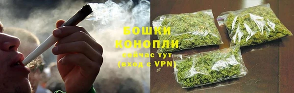 ГАЛЛЮЦИНОГЕННЫЕ ГРИБЫ Арсеньев