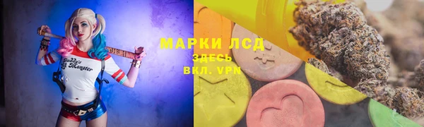 ГАЛЛЮЦИНОГЕННЫЕ ГРИБЫ Арсеньев
