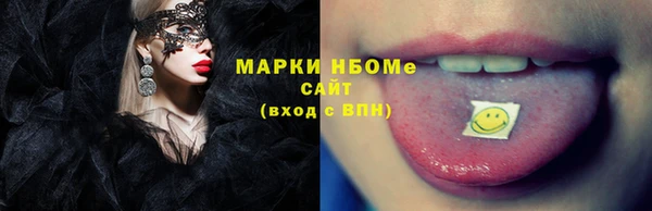 шишки Аркадак