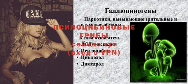 ГАЛЛЮЦИНОГЕННЫЕ ГРИБЫ Арсеньев