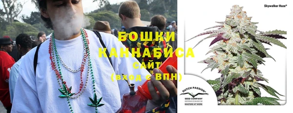 ГАЛЛЮЦИНОГЕННЫЕ ГРИБЫ Арсеньев