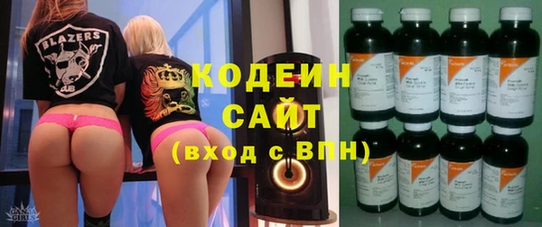 ГАЛЛЮЦИНОГЕННЫЕ ГРИБЫ Арсеньев