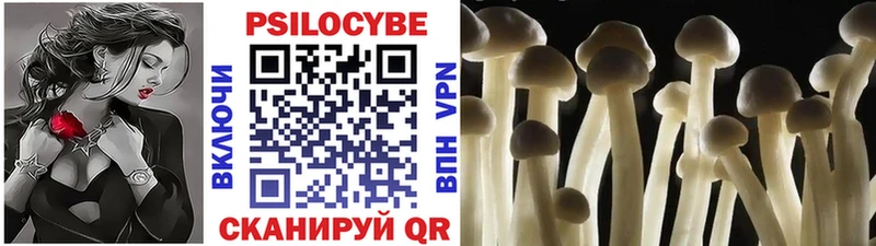 купить наркотик  кракен рабочий сайт  Псилоцибиновые грибы MAGIC MUSHROOMS  Реж 